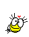 :flirt :flirt